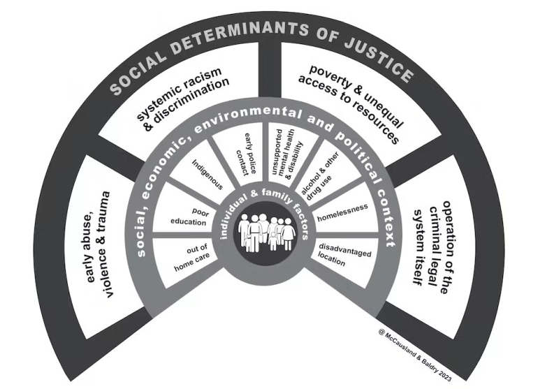 Social determinants graph