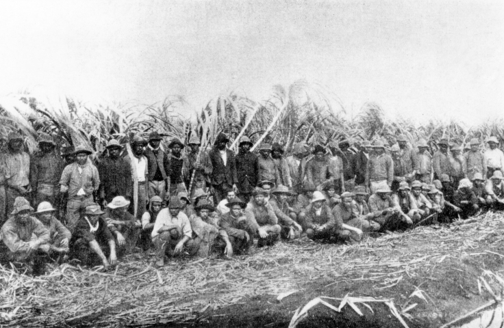 Blackbirding