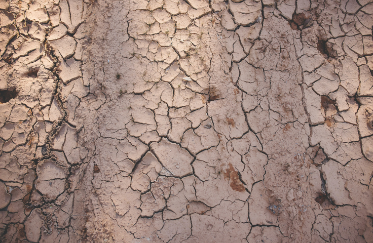 Dry earth