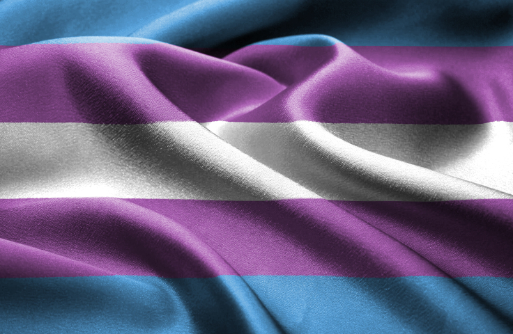 trans flag