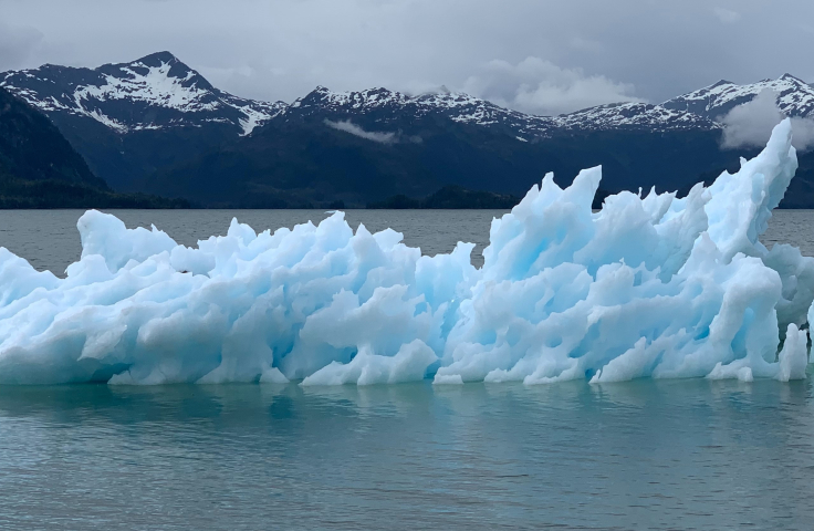 Iceberg