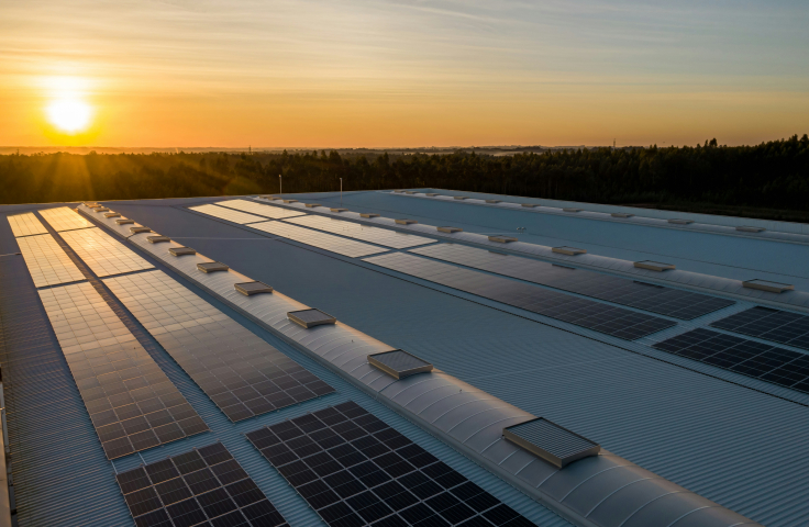 solar farm