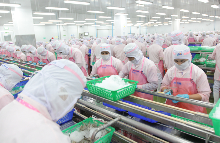 "Workers preparing shrimp in a line in a seafood factory in Thailand by Ai Han/Shutterstock.com